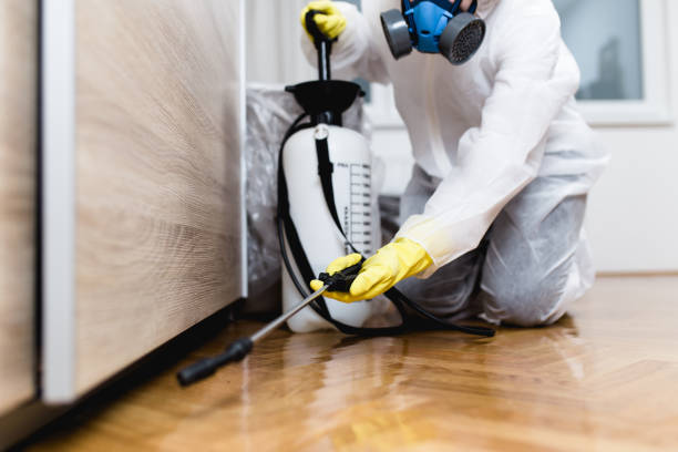 Best Affordable Pest Control Services  in Boaz, AL