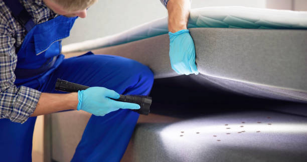 Best Termite Control Services  in Boaz, AL