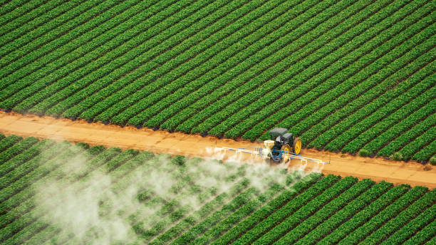 Best Pest Prevention Services  in Boaz, AL