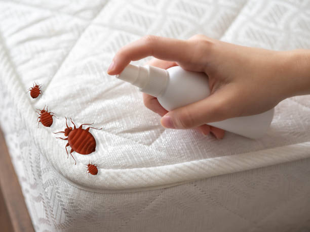 Best Residential Pest Control  in Boaz, AL